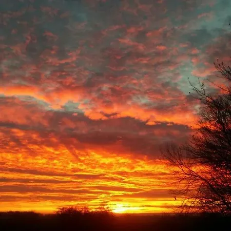 Ruegen-freiheit アパート *