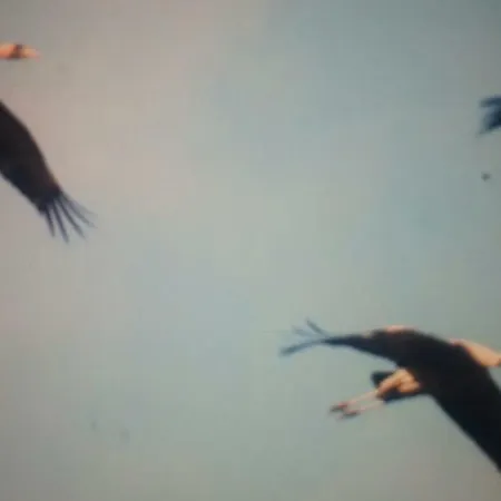 アパート Ruegen-freiheit *