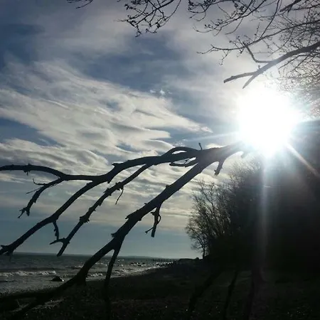 Ruegen-freiheit アパート *