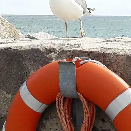 アパート Ruegen-freiheit *