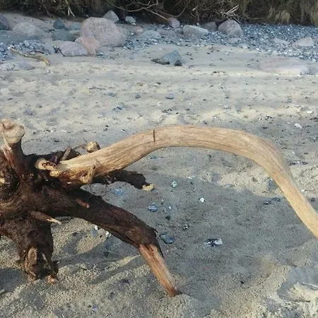 アパート Ruegen-freiheit